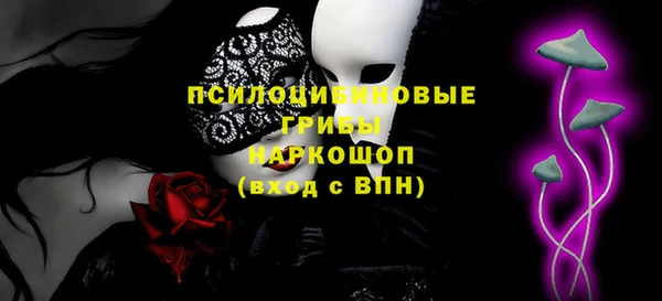 гидра Михайлов