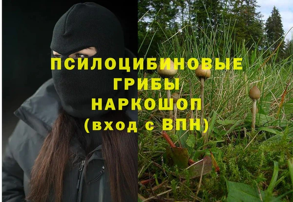 шишки Ханты-Мансийск