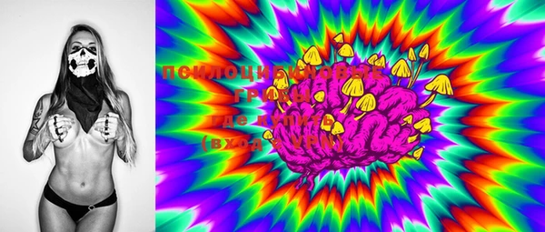 MDMA Горнозаводск