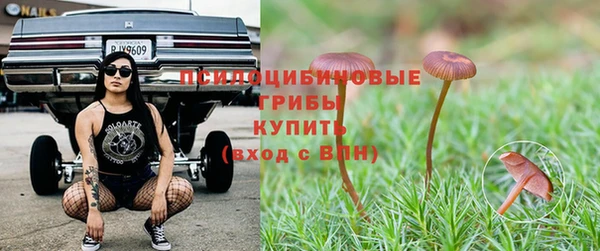 гидра Михайлов