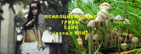 бошки Михайловск