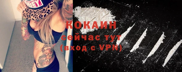 гидра Михайлов