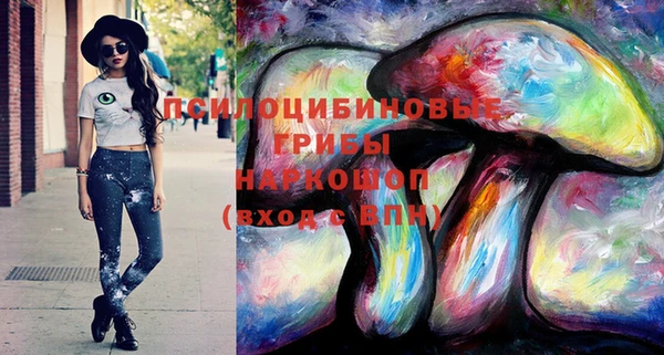 гидра Михайлов