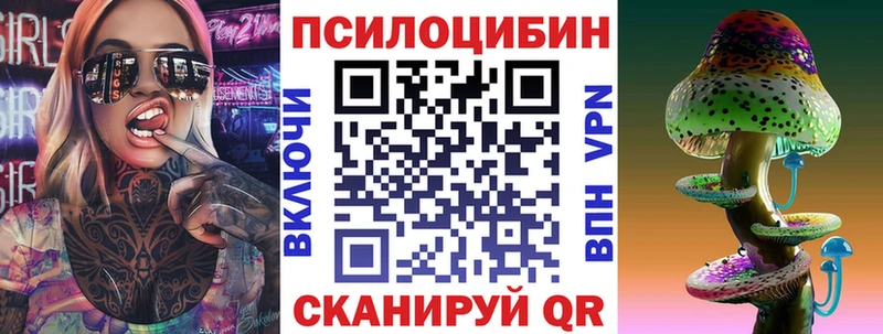 Псилоцибиновые грибы мухоморы  дарнет шоп  Елизово 