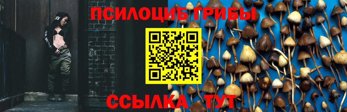 что такое наркотик  Елизово  Галлюциногенные грибы прущие грибы 