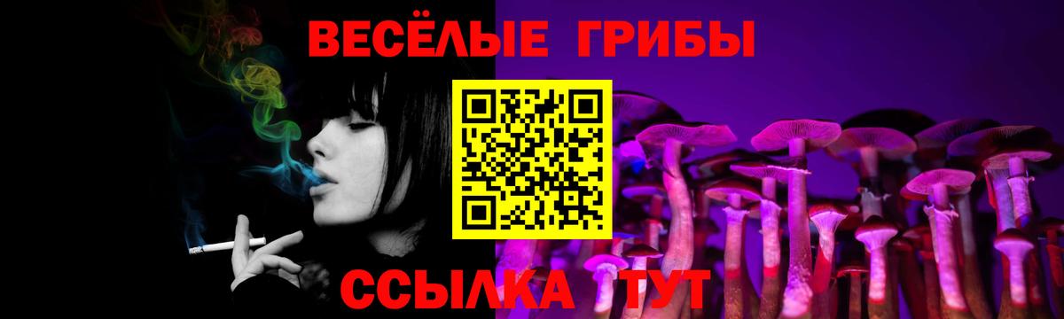 Галлюциногенные грибы Psilocybine cubensis Елизово